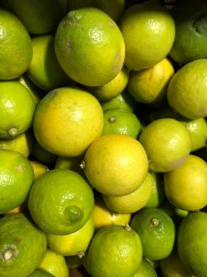 Limoni - Il Melograno 2013