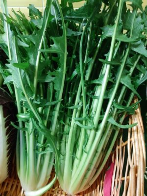 Puntarelle - Il Melograno 2013